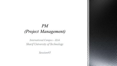 PM (Project Management)