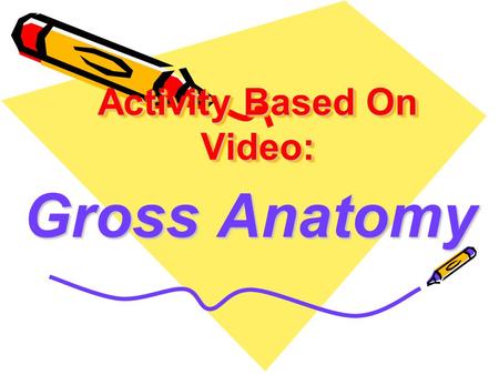 Activity Based On Video: Gross Anatomy. 1. Joe Slovak 2. David (Joe’s Roommate) 3. Miles 4. Laurie 5. Kim Have students list personality characteristics.