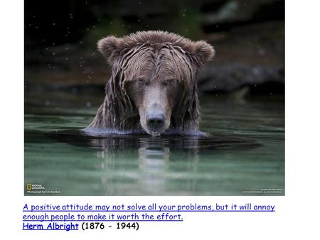 A positive attitude may not solve all your problems, but it will annoy enough people to make it worth the effort. Herm AlbrightHerm Albright (1876 - 1944)