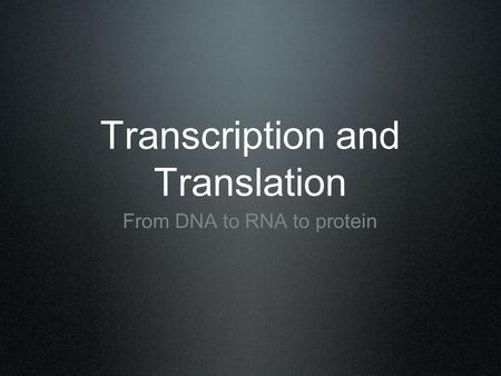 Transcription and Translation