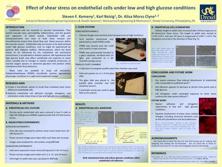 RESULTS A. ENDOTHELIAL CELL ADHESION Both attachment time and culture glucose conditions affect endothelial cell adhesion. MATERIALS & METHODS A. ENDOTHELIAL.