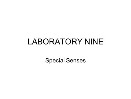 LABORATORY NINE Special Senses