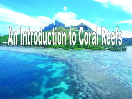 What is coral? It’s a living organism! It is an invertebrate 2 different types:  Reef Building: Hermatypic  Solitary: Ahermatypic Coral is cousins to.