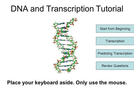 DNA and Transcription Tutorial