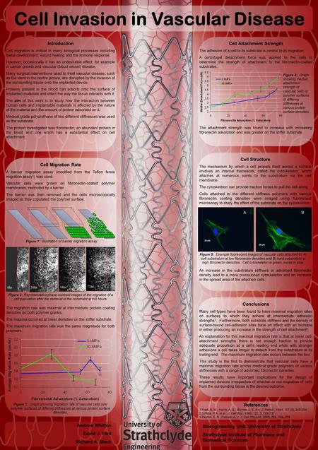 Introduction Cell migration is critical in many biological processes including foetal development, wound healing and the immune response. However, occasionally.