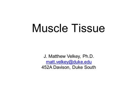 Muscle Tissue J. Matthew Velkey, Ph.D.