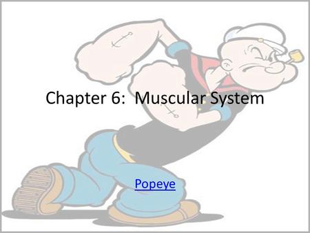 Chapter 6: Muscular System