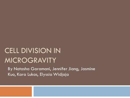 Cell Division in Microgravity