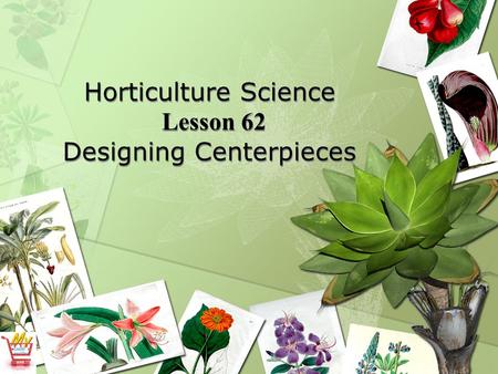 Horticulture Science Lesson 62 Designing Centerpieces.