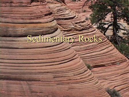 Sedimentary Rocks.