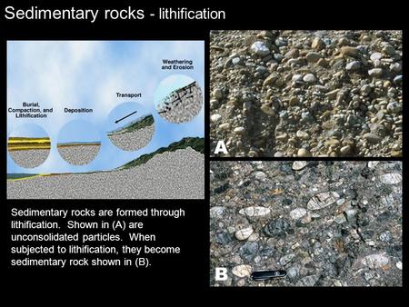 Sedimentary rocks - lithification