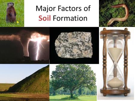 Major Factors of Soil Formation