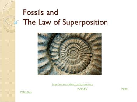 Fossils and The Law of Superposition Liz LaRosa 5 th Grade Science  2009http://www.middleschoolscience.com This PPT was.