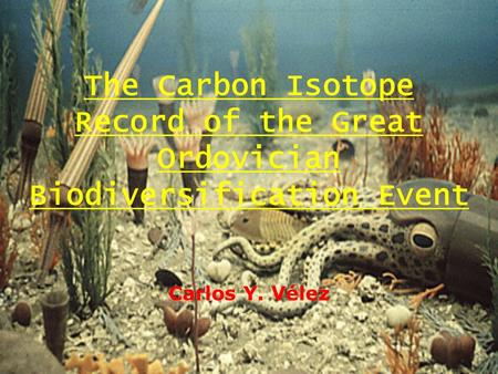 The Carbon Isotope Record of the Great Ordovician Biodiversification Event Carlos Y. Vélez.