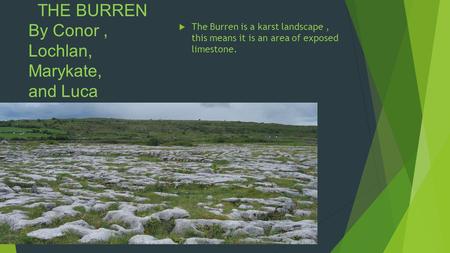 THE BURREN By Conor, Lochlan, Marykate, and Luca  The Burren is a karst landscape, this means it is an area of exposed limestone.