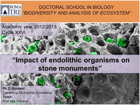 DOCTORAL SCHOOL IN BIOLOGY “BIODIVERSITY AND ANALYSIS OF ECOSYSTEM” “Impact of endolithic organisms on stone monuments” Academic year 2012/2013 Cycle XXVI.