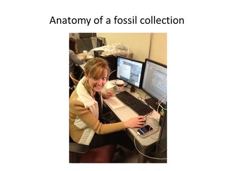 Anatomy of a fossil collection. Exposure of the upper Matfield Shale (Kinney and Blue Springs) and lower Barneston Limestone (Florence) along the south.