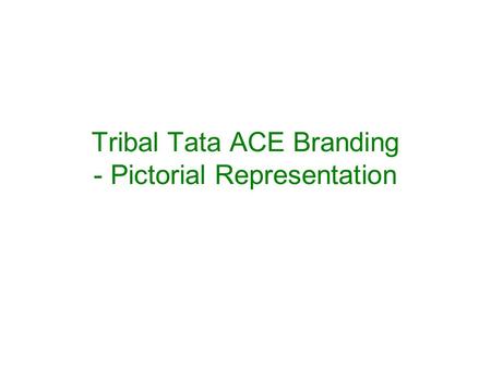 Tribal Tata ACE Branding - Pictorial Representation.