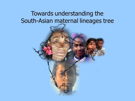 Towards understanding the South-Asian maternal lineages tree.