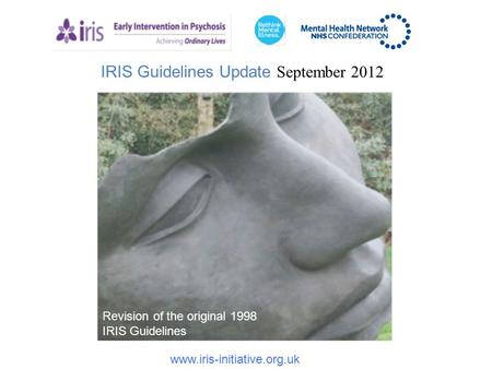 IRIS Guidelines Update September 2012 www.iris-initiative.org.uk Revision of the original 1998 IRIS Guidelines.