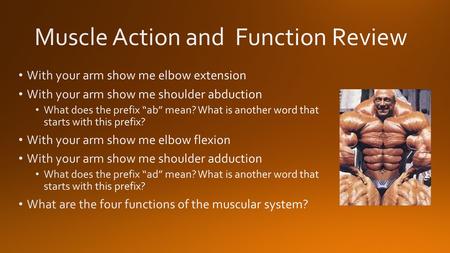 #PictureMuscle ActionCommon Joint Name Type of JointMedical Name for Bones at Joint 1.Thumb Abduction Thumb JointSaddle JointMetacarpal and Phalange.