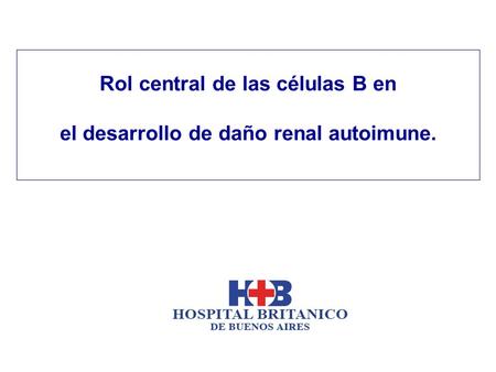 Rol central de las células B en el desarrollo de daño renal autoimune.