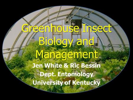 Greenhouse Insect Biology and Management Jen White & Ric Bessin Dept. Entomology University of Kentucky.