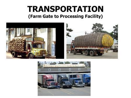 TRANSPORTATION (Farm Gate to Processing Facility).