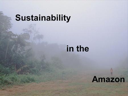 Sustainability in the Amazon. ECUADOR ECUADOR ECUADOR.