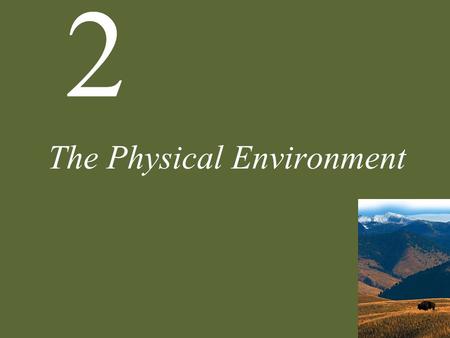 The Physical Environment