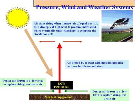 Pressure, Wind and Weather Systems Air heated by contact with ground expands; becomes less dense and rises Sun heats up ground LOW PRESSURE Denser air.