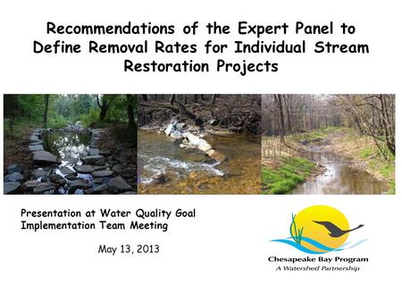 Recommendations of the Expert Panel to Define Removal Rates for Individual Stream Restoration Projects Presentation at Water Quality Goal Implementation.