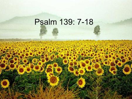 Psalm 139: 7-18.