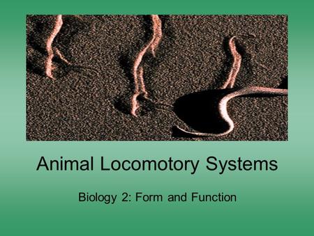 Animal Locomotory Systems Biology 2: Form and Function.