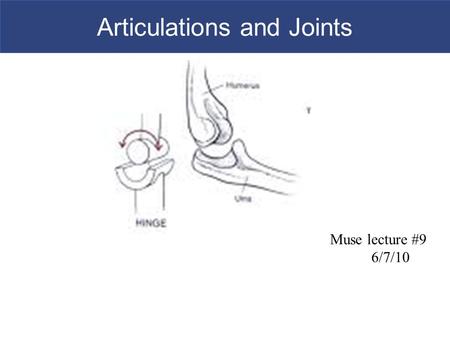 Articulations and Joints