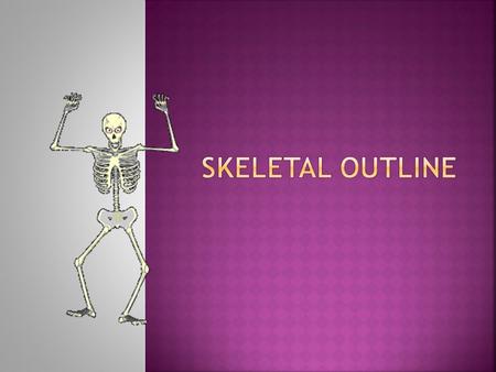  Provide shape and support  Protection of internal organs  Storing minerals and fat  Producing blood cells and platelets  Assisting with movement.