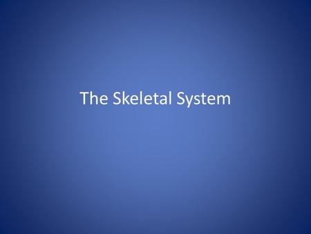 The Skeletal System.