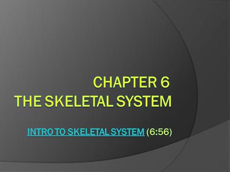 Two Major Divisions  Axial – _____, hyoid, _____, _____ cage  Appendicular – _____, _____, pelvic girdle.