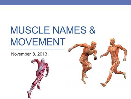 Muscle Names & Movement