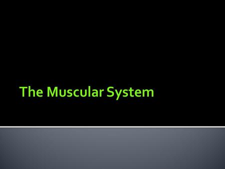 As it contracts it -causes movement -maintains posture -stabilizes joints -and generates heat.