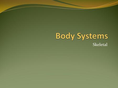 Skeletal. Function Provide support for body tissues Protects organs Movement Production of blood cells(red, white, and platelets)- in the red marrow of.