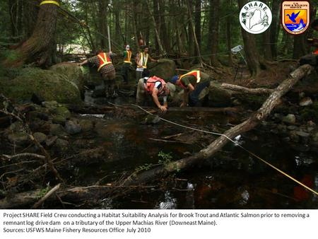 Project SHARE Field Crew conducting a Habitat Suitability Analysis for Brook Trout and Atlantic Salmon prior to removing a remnant log drive dam on a tributary.