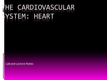 The Cardiovascular system: Heart