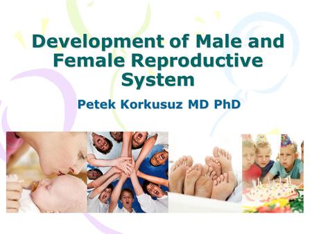 Development of Male and Female Reproductive System