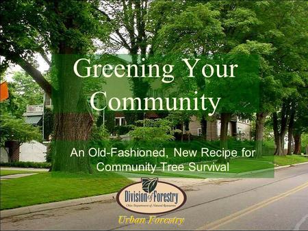 Greening Your Community An Old-Fashioned, New Recipe for Community Tree Survival.