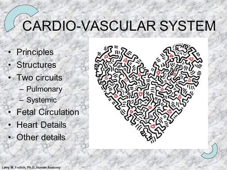 CARDIO-VASCULAR SYSTEM