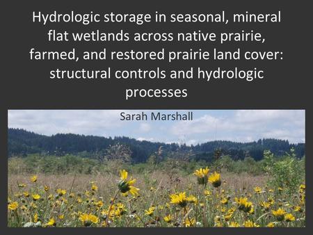 Hydrologic storage in seasonal, mineral flat wetlands across native prairie, farmed, and restored prairie land cover: structural controls and hydrologic.