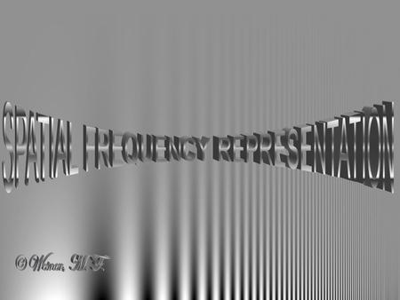 We are focusing our discussion within the luminance dimension. Note, however, that these discussions could also be directed towards the chromatic and/or.