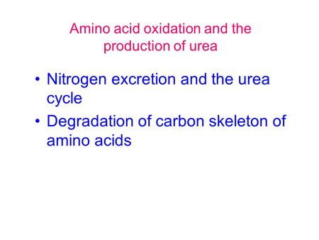 Amino acid oxidation and the production of urea