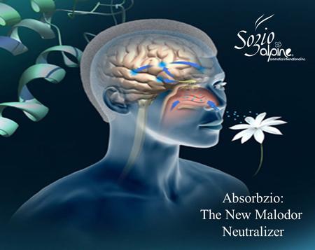 Absorbzio: The New Malodor